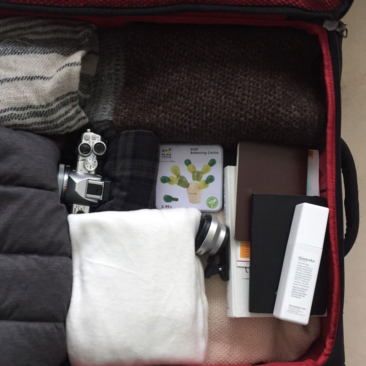 4130LF4 Κάκτος ισορροπίας μίνι - Image 3