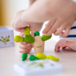 Κάκτος ισορροπίας μίνι - Image 2