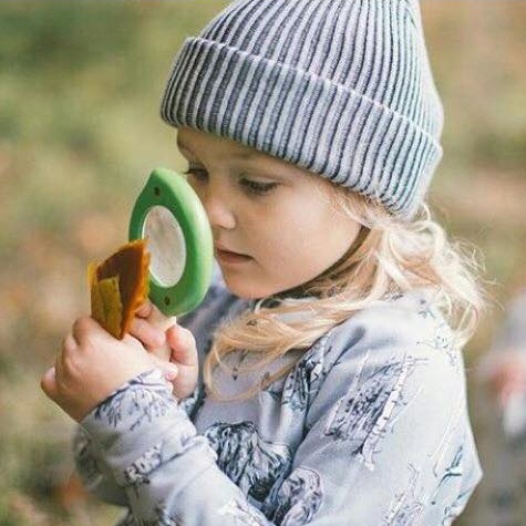 4346_2 Μεγεθυντικός φακός φύλλο - Image 1