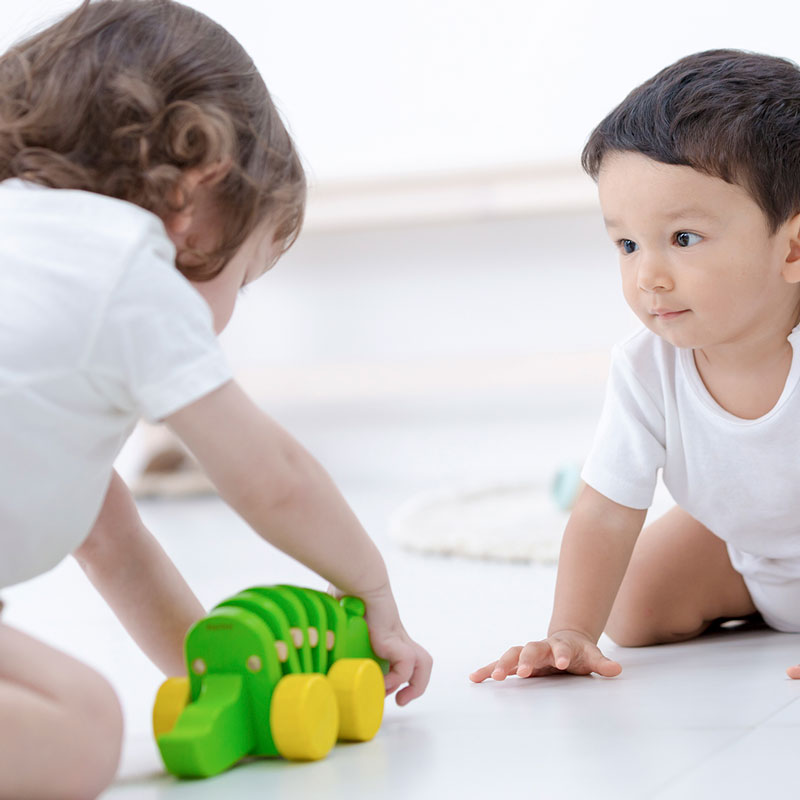 5105_3 Κροκόδειλος που κινείται - Image 3