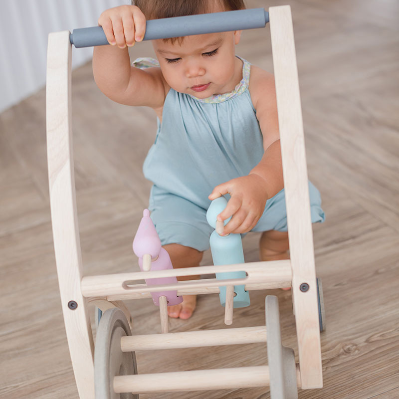 5720_Woodpecker_Walker_LF3 Περπατούρα με τρυποκάρυδους - Image 4