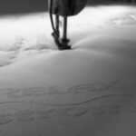 yfasma_relax_500x375