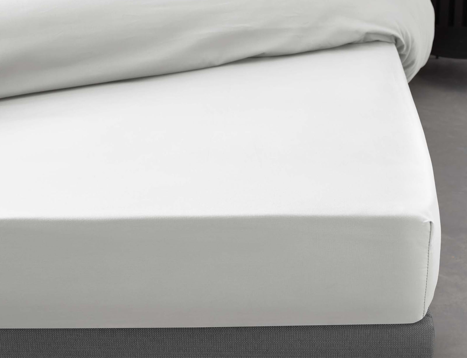 image_returner_extra (2) Σεντόνι με λάστιχο Lina από βαμβάκι-white - Image 4