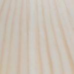 Χωρίς Χρώμα - Φυσικό ξύλο