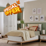 Alegra Special Offer