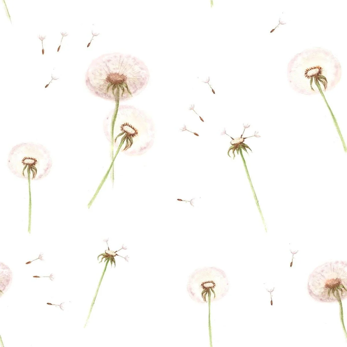 dandelions_ Ταπετσαρία Dandelions - Image 1